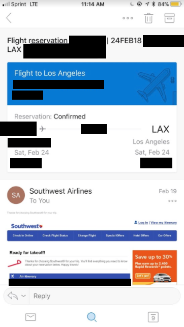 A screenshot of the flight itinerary Sanchez apparently purchased for Anna.